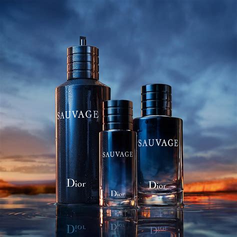 dior sauvage ingredienti|sauvage Dior for men.